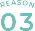 reason 03